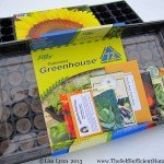 How to Start Seedlings Indoors