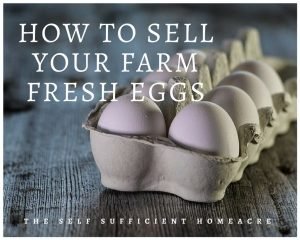 How to Sell Your Farm Fresh Eggs - The Self Sufficient HomeAcre