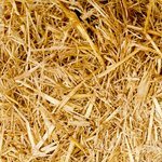 Blogpinner For Bloggers