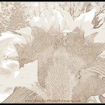 Winter is almost here…