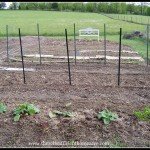 Wanna Go Homesteady? Part 1