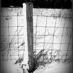 Before the Snow Melt