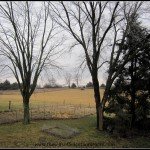 Feels a Little Like Spring