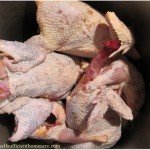stewing hens