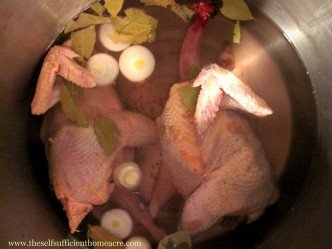 Stewing hens, plucked and in the pot.