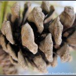 Scenery for a Saturday