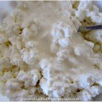 making cottage cheese