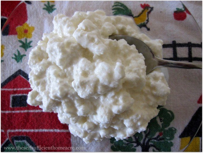 Homemade cottage cheese...yum!