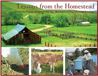 Lessons from the Homestead