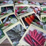 You have many more varieties available if you start your own seeds.