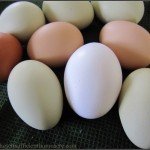 The Creative HomeAcre Hop #7