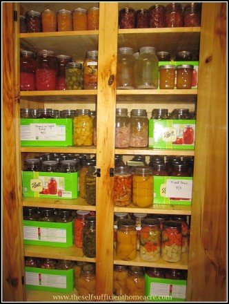 There are quite a few jars of beans left in my Canning Cupboard (made by my Dad)!