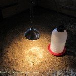 Spring Chores on the Homestead