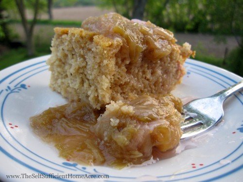 Rhubarb cake with rhubarb sauce on top...mmmm!