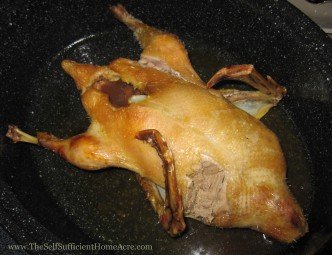 The vultures have already been picking at the roast duck :)