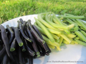 Zemanta Related Posts Thumbnail