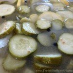 How to Make Brine Cured Pickles