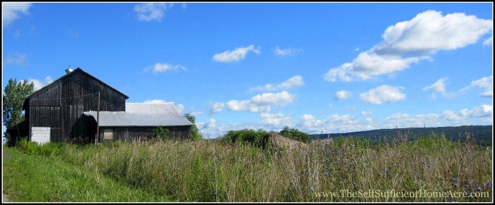 Grandpa's Barn
