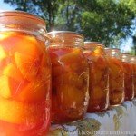 Canning a Bushel of Peaches