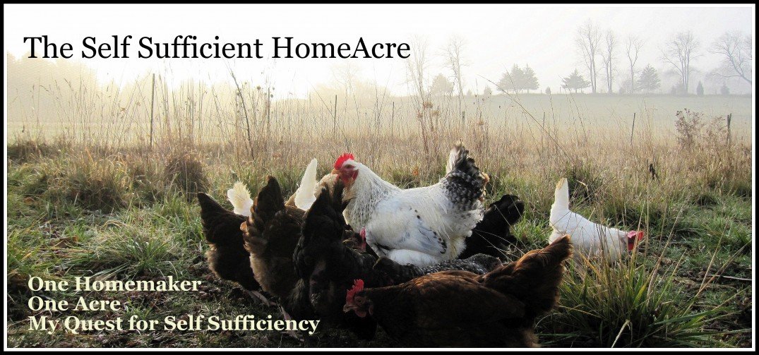 The Self Sufficient HomeAcre