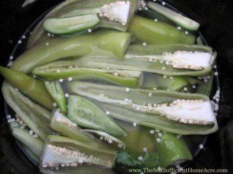 Brine curing hot peppers.