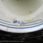 Be sure to keep your peppers under the brine solution to prevent spoilage.