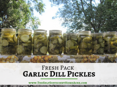 Fresh Pack Garlic Dill Pickles - The Self Sufficient HomeAcre