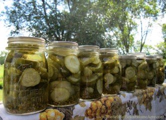 I think I'm ready for that cheeseburger :)