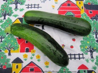 black beauty zucchini