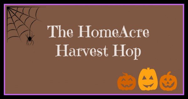 The HomeAcre Harvest Hop spider jack o lanterns