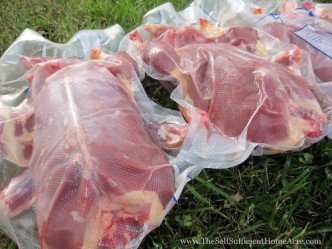 Ducks, skinned, vacuum sealed, and ready for the freezer.