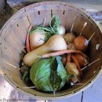 Storing food for the winter was the most important part of autumn in the pioneer days.