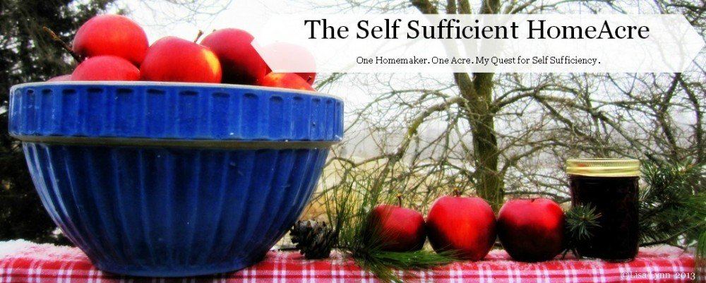The Self Sufficient HomeAcre