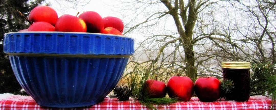 The Self Sufficient HomeAcre