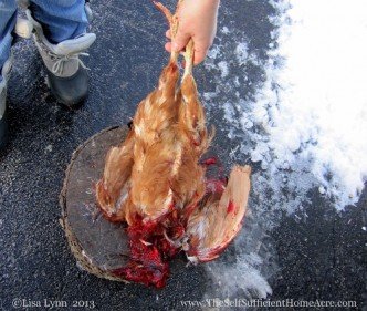 Blood freezes fast in cold weather.