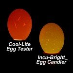 This neat egg candler allows you to check the progress of the developing embryo. Great for teaching your kids!