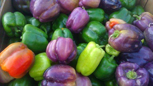Sweet peppers from Trogg's Hollow Farm.