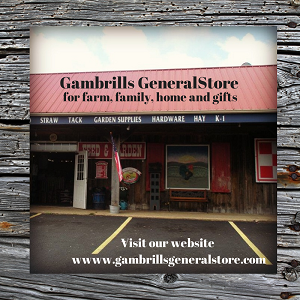 Gambrills General Store