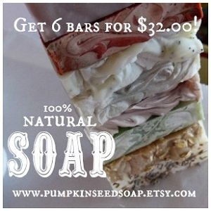 Pumpkin Seed Soaps