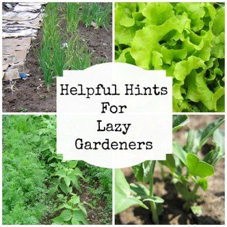Helpful Hints for Lazy Gardeners