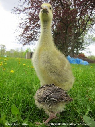 Maybe I'm not that big after all.