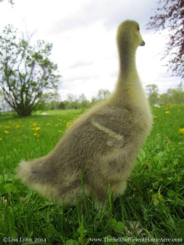 Mom, are you sure this is ok?