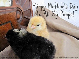 Happy Mother's Day to all my peeps!