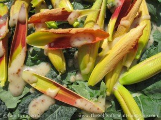 Fresh salad with kale and day lilies from my garden.