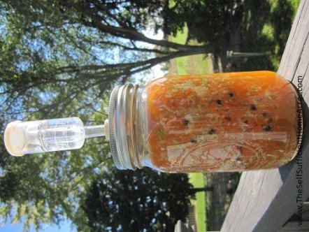Fermenting Spicy Carrot-kraut using a Fermentools starter kit.