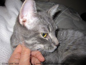 Much better...you can see how handsome I am in this photo.